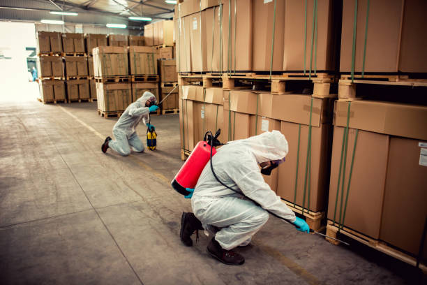 Best Best Pest Control Companies  in Douglas, MI
