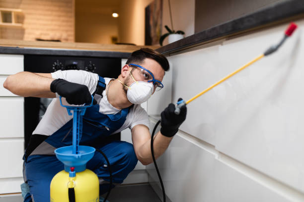 Best Exterminator Services  in Douglas, MI
