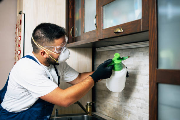 Best Affordable Pest Control Services  in Douglas, MI