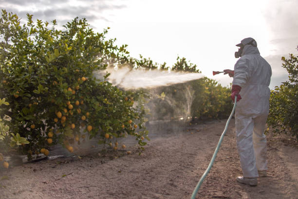 Best Best Pest Control Companies  in Douglas, MI