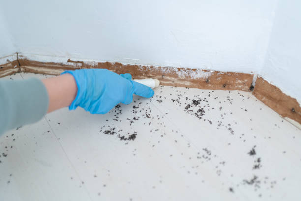 Pest Control Cost in Douglas, MI